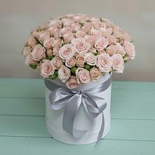 Цветочная композиция из Розы в шляпной коробке #REPLACE_PRED# Искре