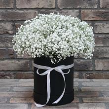 Цветочная композиция из Гипсофила в шляпной коробке в Искре