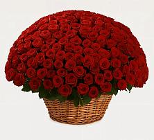 Премиум букет из: Розы в Искре